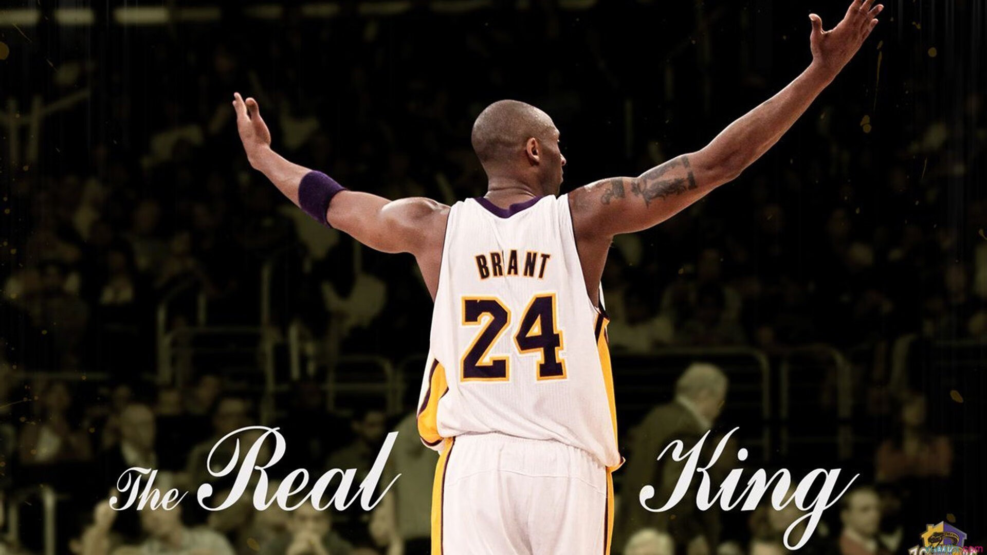 DB电竞官网登录-街道赛道上的王者,F1焦点战与篮球场上的统治力